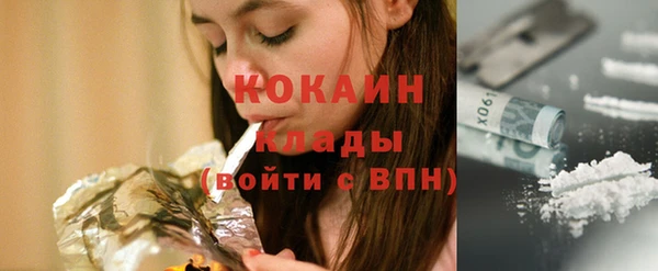 ГАЛЛЮЦИНОГЕННЫЕ ГРИБЫ Горно-Алтайск