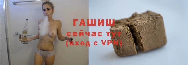 ГАЛЛЮЦИНОГЕННЫЕ ГРИБЫ Горно-Алтайск